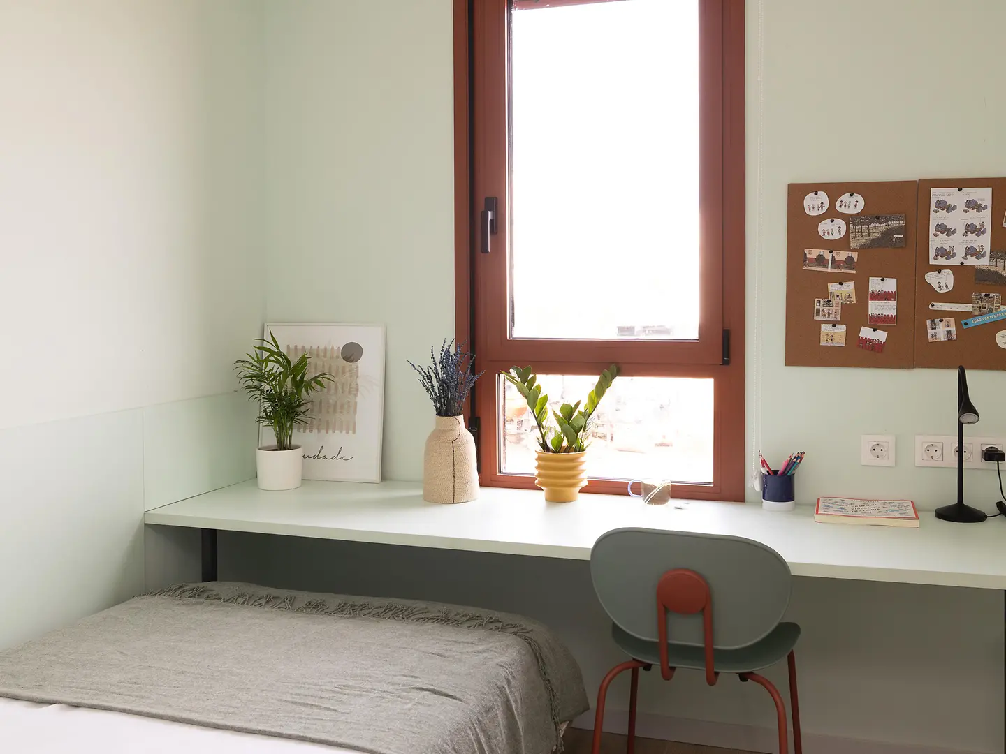  Studio  -  Alba Viu  - Gallery -  7