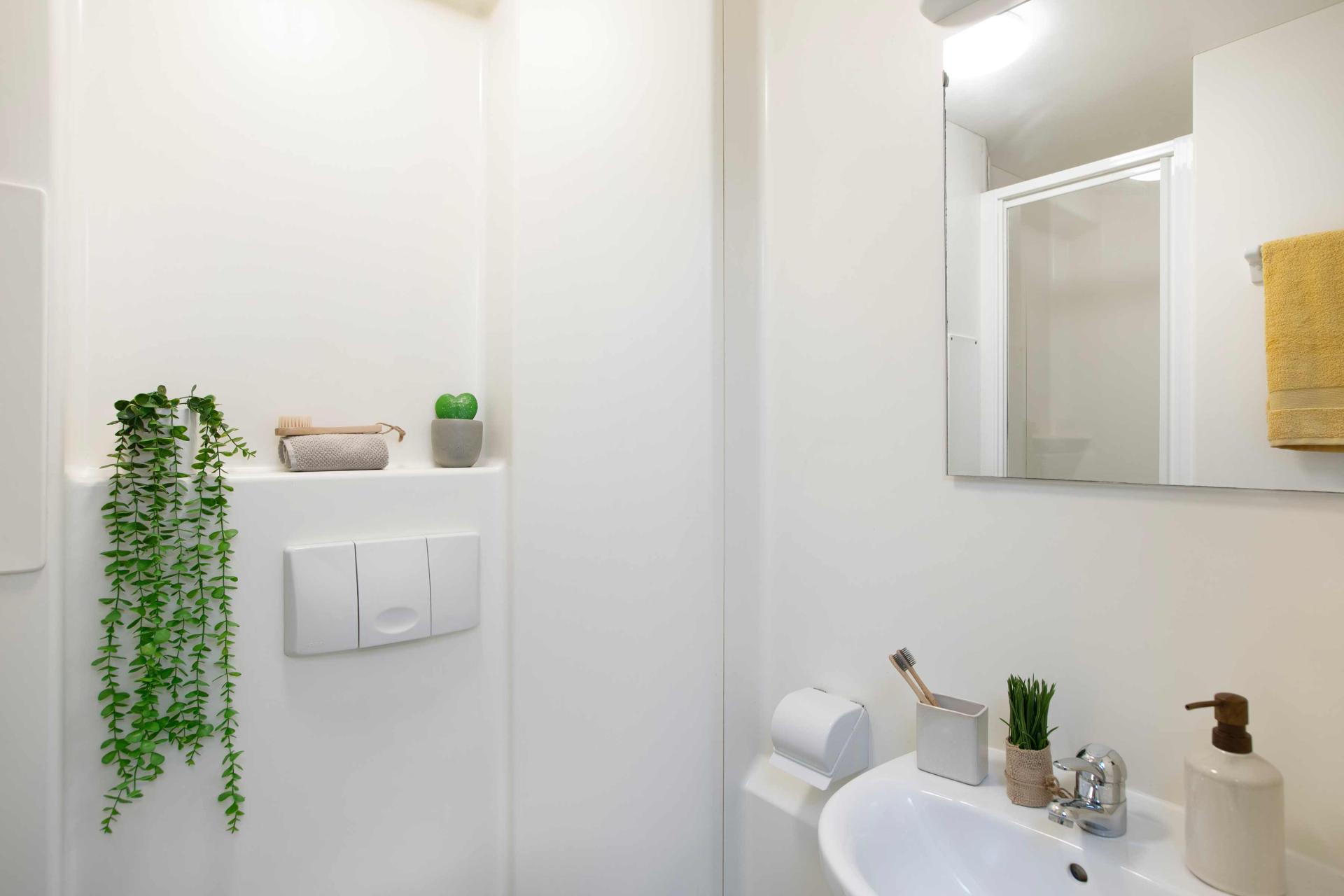  Premium Accessible Studio  -  North Court  - Gallery -  2