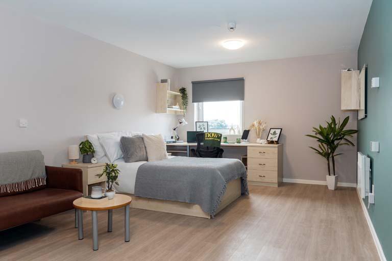  Premium Accessible Studio  -  North Court  - Gallery -  1