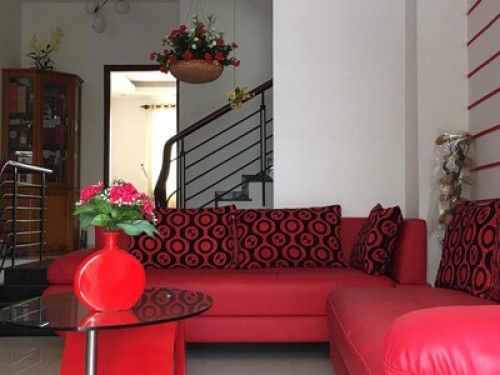 Colorful & green house  - Gallery -  5