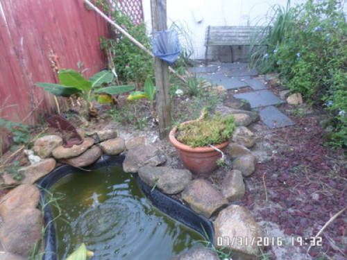 Peaceful Oasis - Gallery - 9