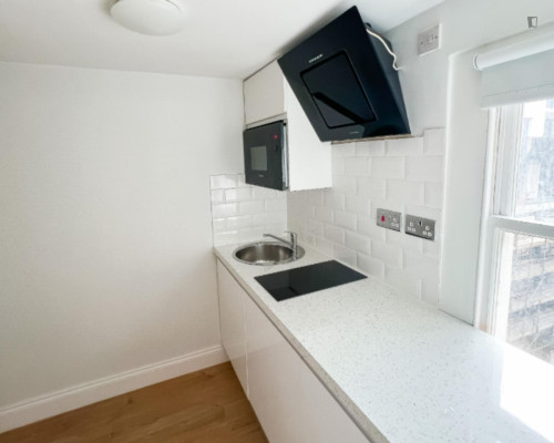 Exciting Studio close to Paddington Train Station - Gallery - 10