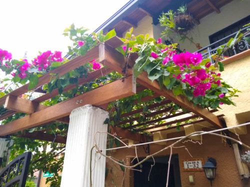 Stunning Comfortable Coliving w/ BBQ + Terrace near Club El Rodeo