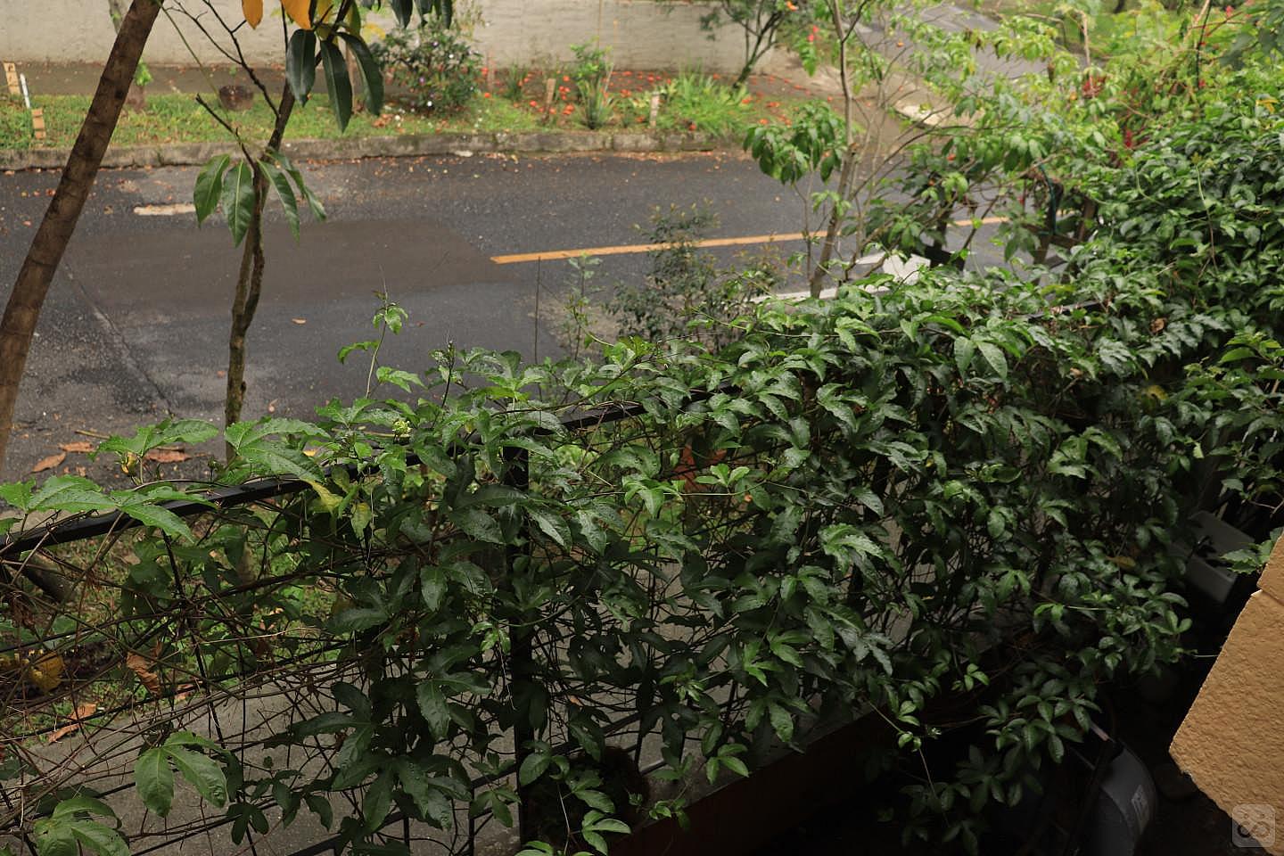 Habitación A - Stunning Comfortable Coliving w/ BBQ + Terrace near Club El Rodeo - Gallery - 2