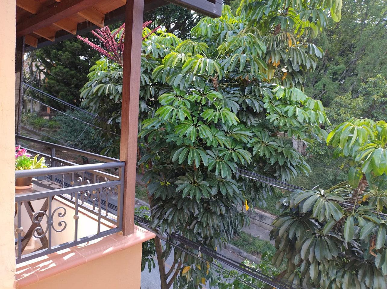 Studio - Stunning Comfortable Coliving w/ BBQ + Terrace near Club El Rodeo - Gallery - 13