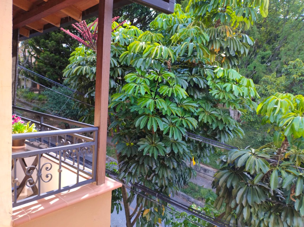 Studio - Stunning Comfortable Coliving w/ BBQ + Terrace near Club El Rodeo - Gallery - 34