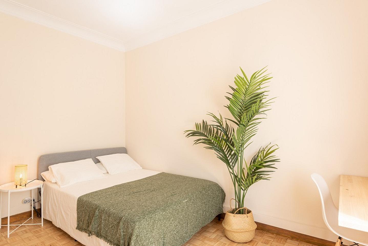  Spacious Double Room (Casanova4)  -  Spacious Designer Coliving Flat with Concierge in Vibrant Eixample Apartment  - Gallery -  17