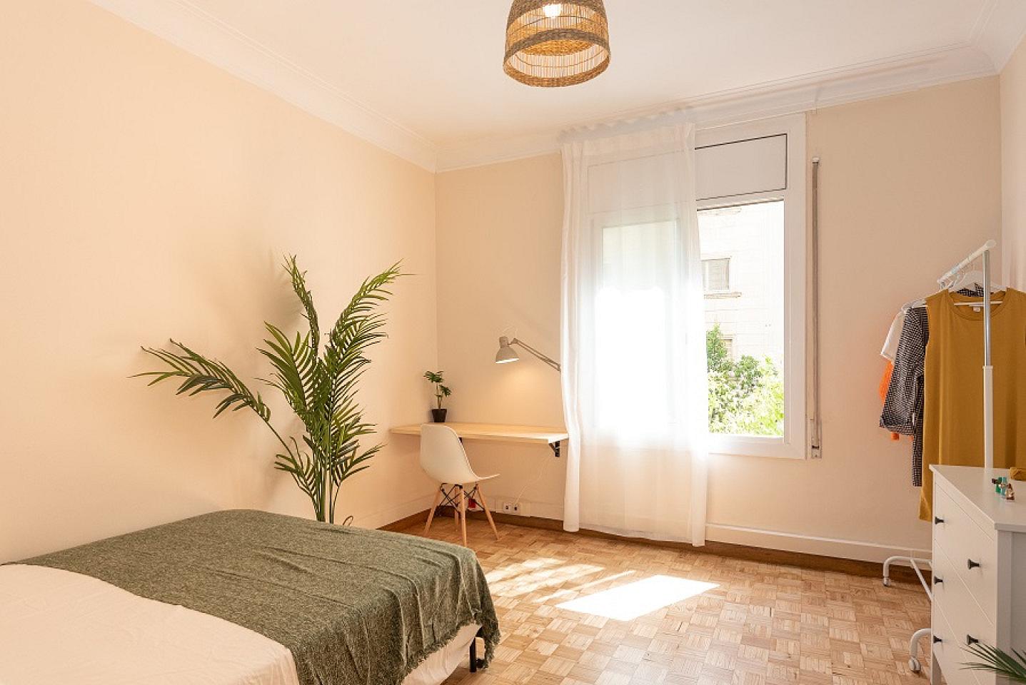  Spacious Double Room (Casanova4)  -  Spacious Designer Coliving Flat with Concierge in Vibrant Eixample Apartment  - Gallery -  3