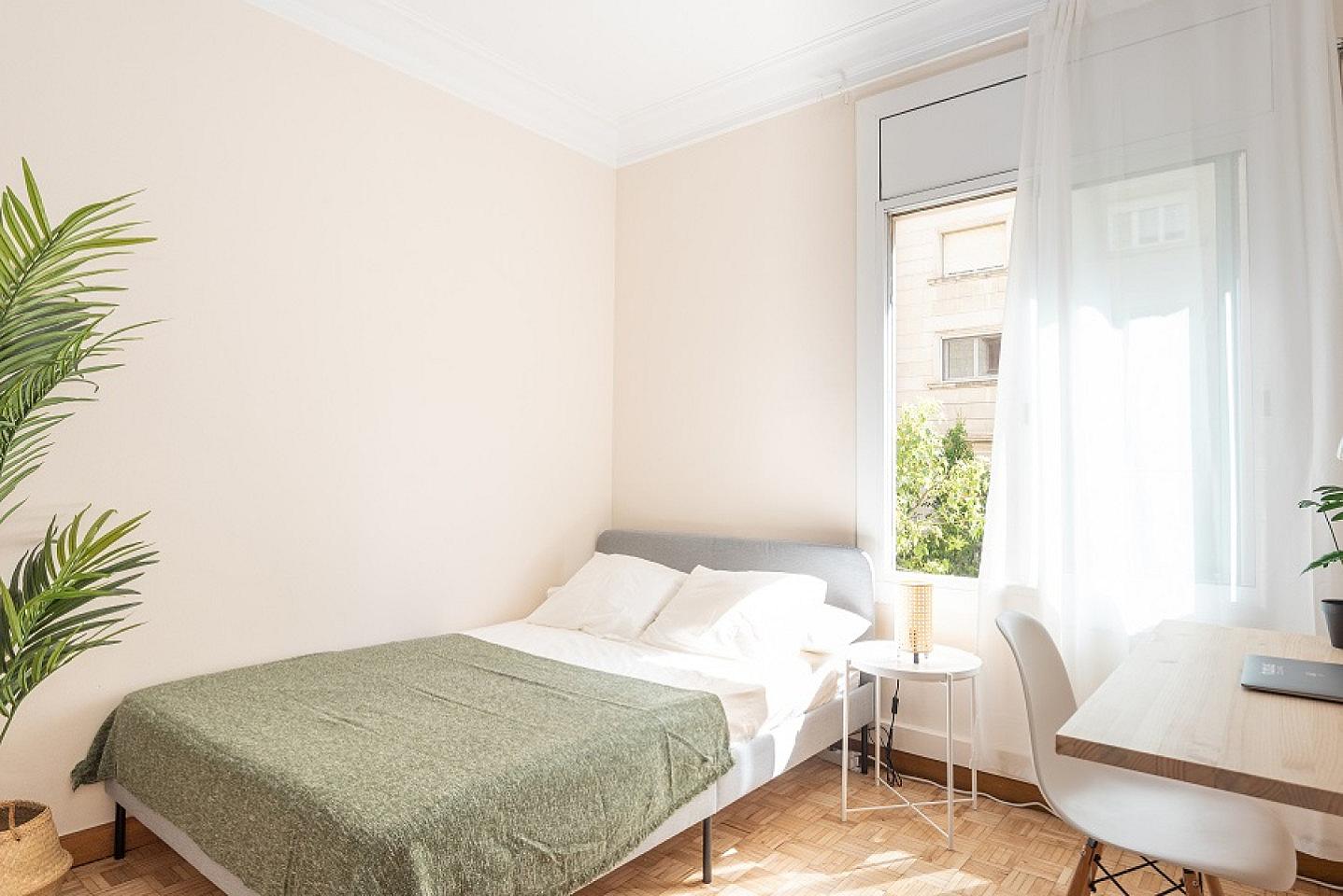  Dream Double Room (Casanova5)  -  Spacious Designer Coliving Flat with Concierge in Vibrant Eixample Apartment  - Gallery -  21