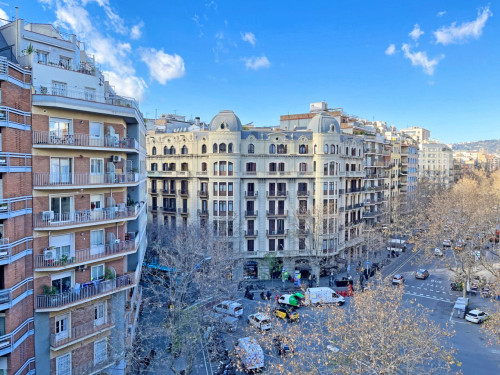 Comte D'urgell Home II