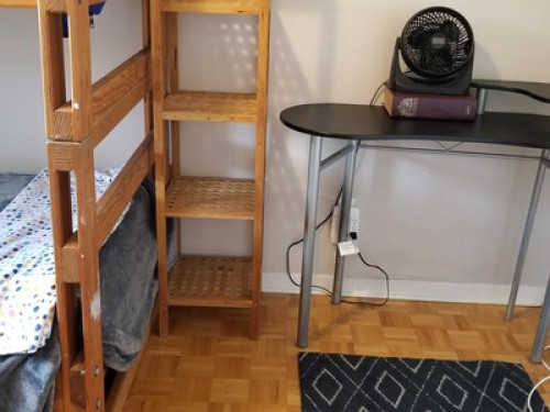 Comfortable Relaxed Homestay