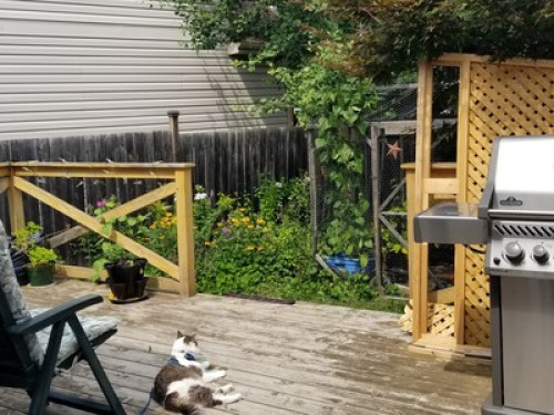 Comfortable Relaxed Homestay