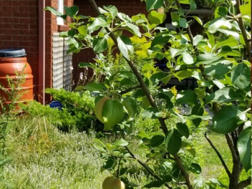 Comfortable Relaxed Homestay