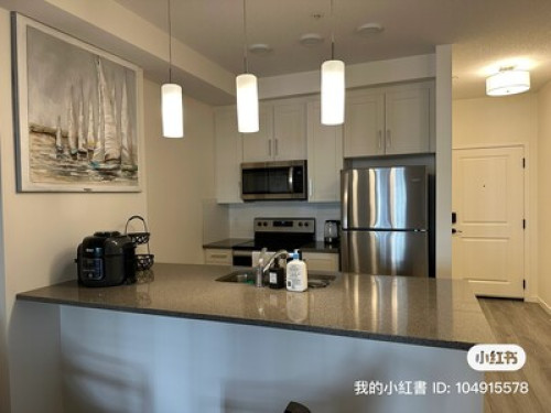 One bedroom in SE Calgary