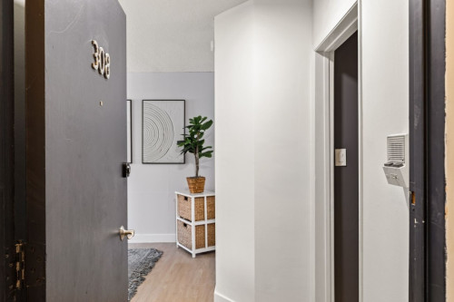 Malcolm Avenue - Gallery - 17