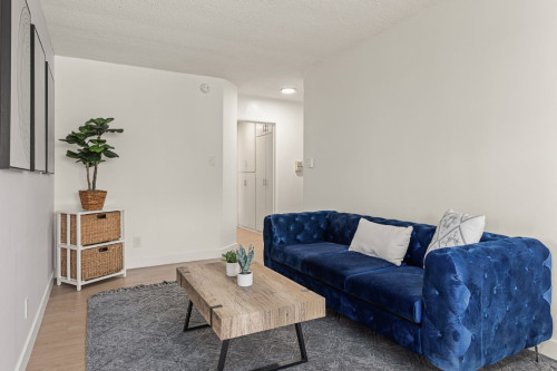 Malcolm Avenue - Gallery - 7