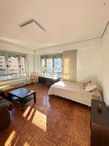 Luminous double bedroom near Parque del Ebro