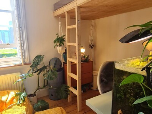 Single Room (Shared house Southwick
