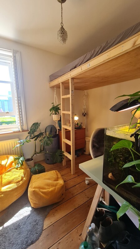 Single Room(Full Room) - 1