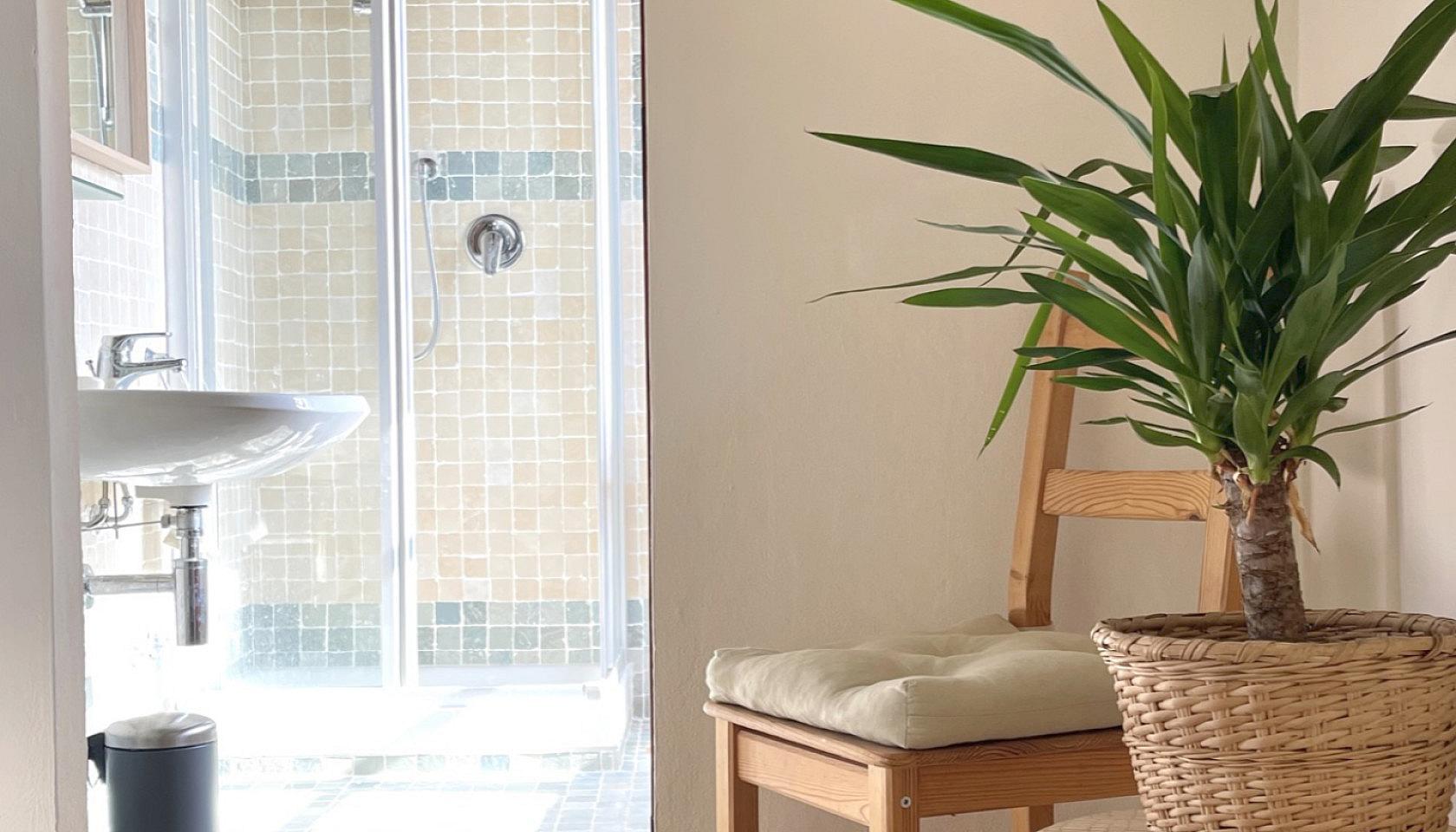 Small Apartment - 50