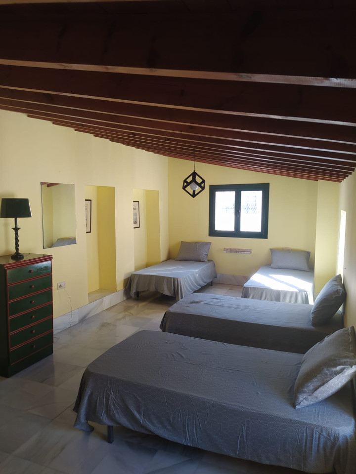 Bed In A 4-Bed Mixed Gender Room - 14