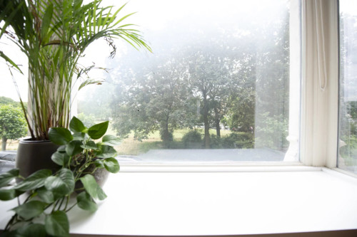 Chic Modern Coliving Residence With Sunny Open Spaces