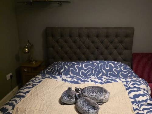 Double, ensuite room  - Gallery - 15