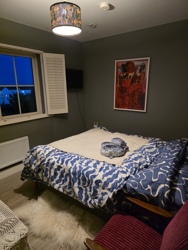 Double Room (Single Bed) - 1