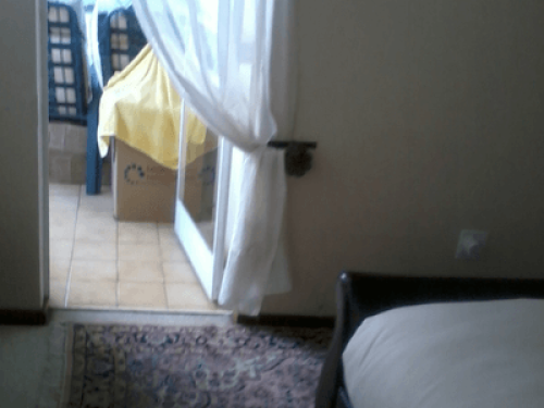 comfortable, friendly, homely, neat