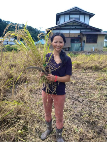 Nozawa Home - Gallery - 26