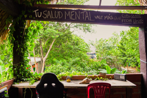 Ecological Coliving in Santa Marta