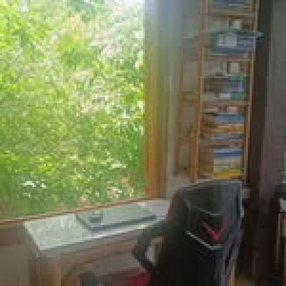 SIRENA Private Large - Ecological Coliving in Santa Marta Campus - Gallery - 32