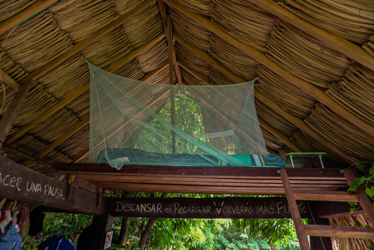 NEST Semi Private - Ecological Coliving in Santa Marta Campus - Gallery - 5