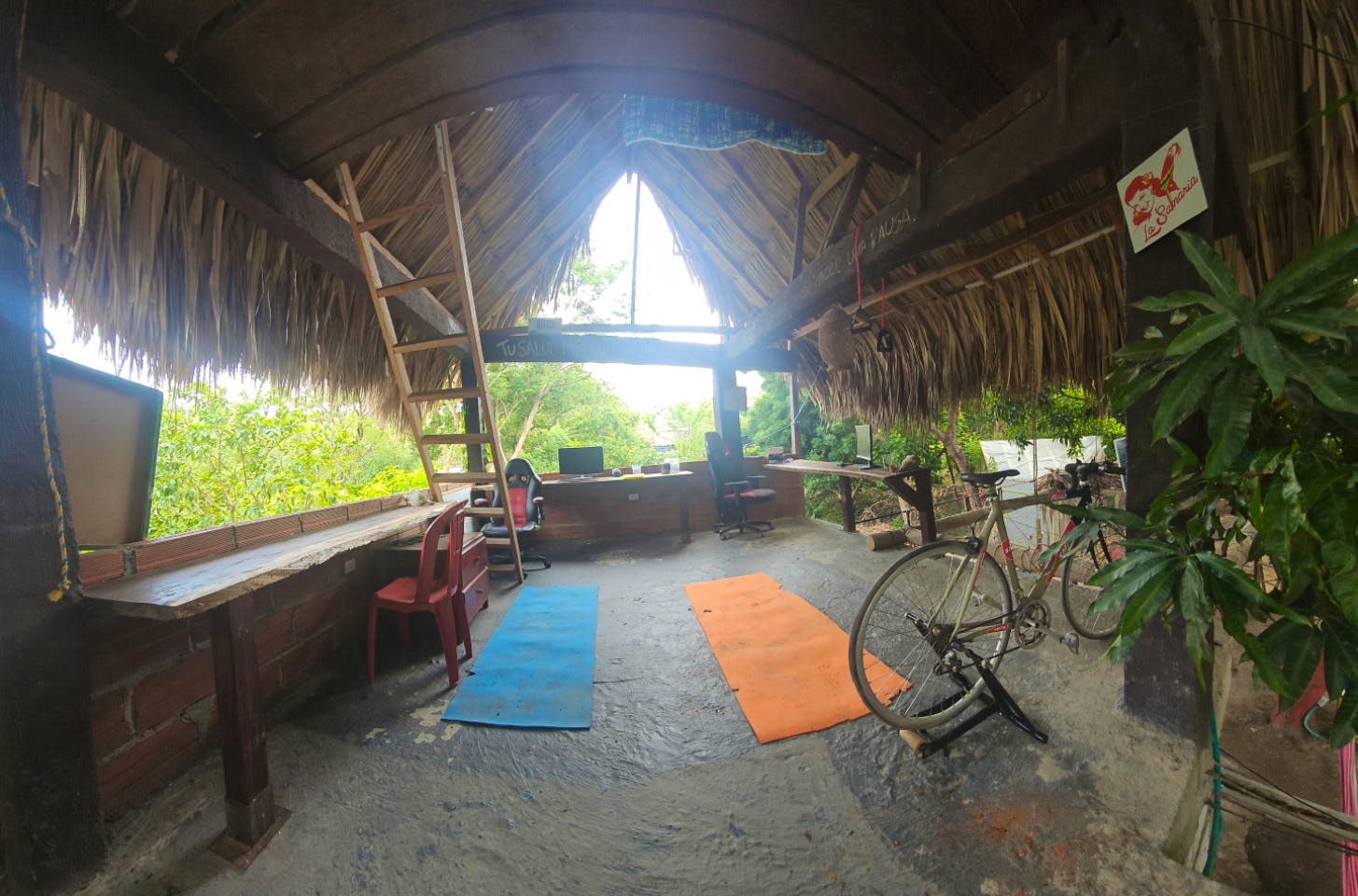 NEST Semi Private - Ecological Coliving in Santa Marta Campus - Gallery - 2