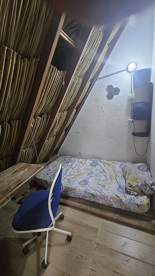 CROCKFISH Private Small - Ecological Coliving in Santa Marta Campus - Gallery - 17