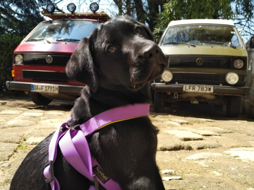 Gorgeous hostel 5 minutes from Zagarolo