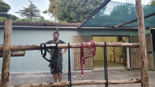 Gorgeous hostel 5 minutes from Zagarolo