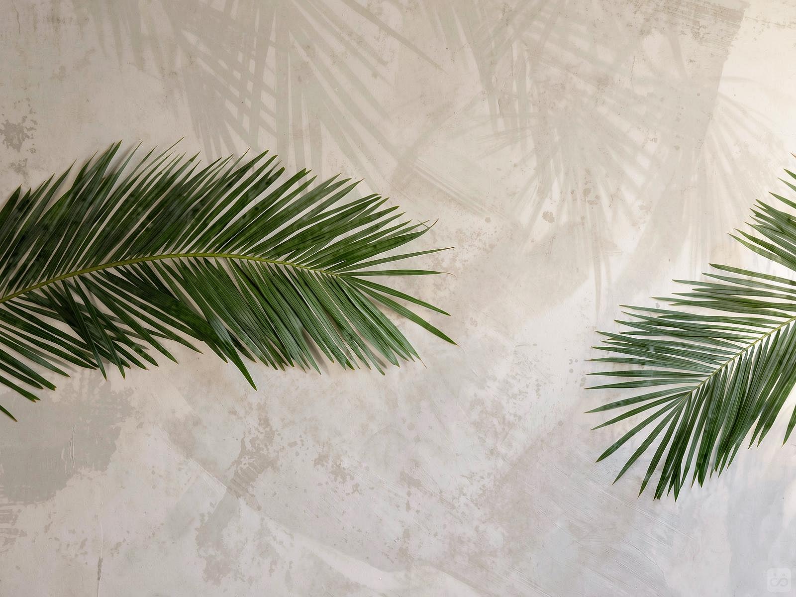  Small Private Double  -  Gorgeous hostel 5 minutes from Zagarolo  - Gallery -  25