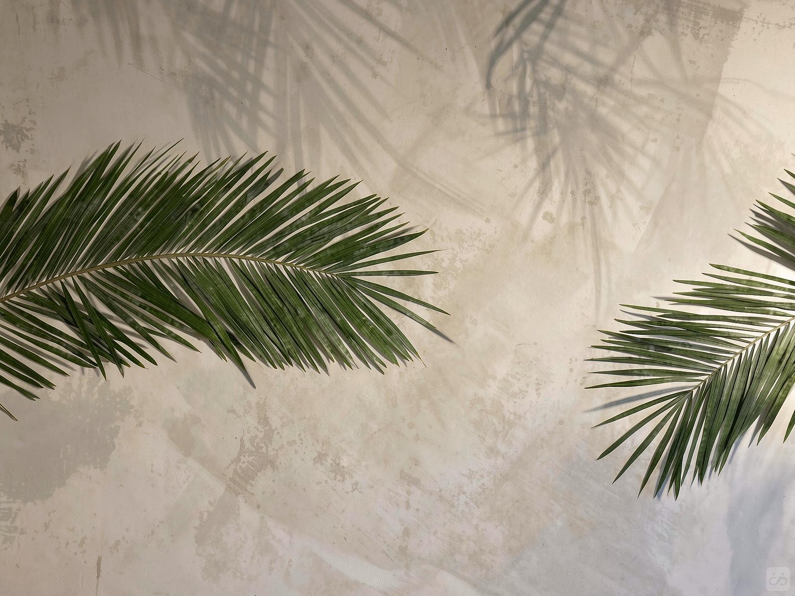 Private Twin - Gorgeous hostel 5 minutes from Zagarolo - Gallery - 26