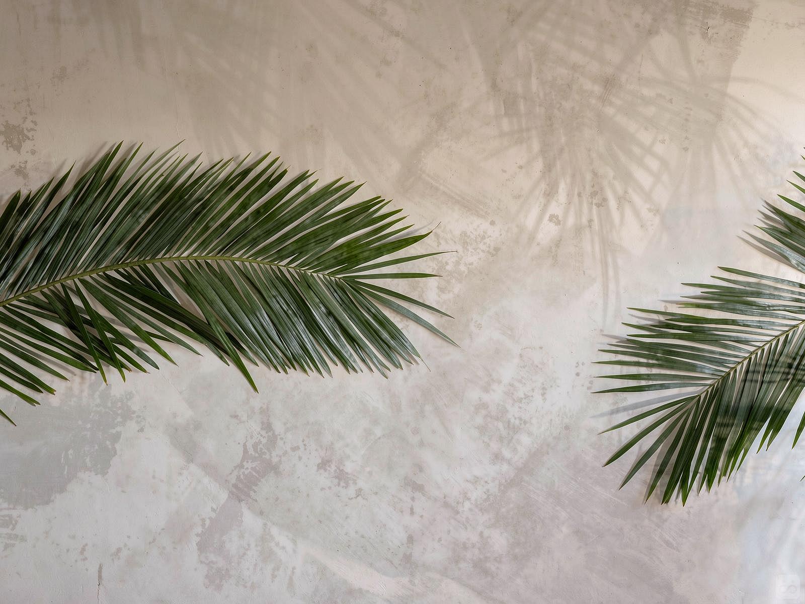 Bed In A 4-Bed Females Only Room - Gorgeous hostel 5 minutes from Zagarolo - Gallery - 23