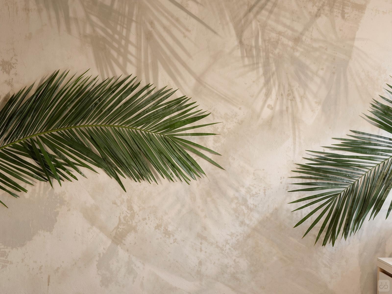  Bed In A 4-Bed Males Only Room  -  Gorgeous hostel 5 minutes from Zagarolo  - Gallery -  23