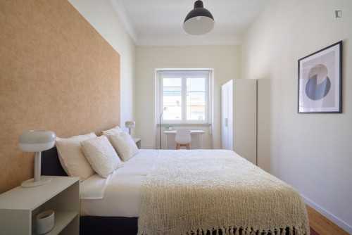 Pleasant single bedroom in shared flat in well-connected Marquês