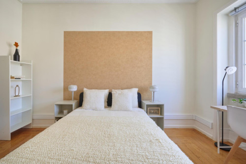 Pleasant single bedroom in shared flat in well-connected Marquês