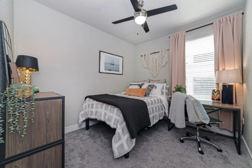 Gainesville - Gallery - 20
