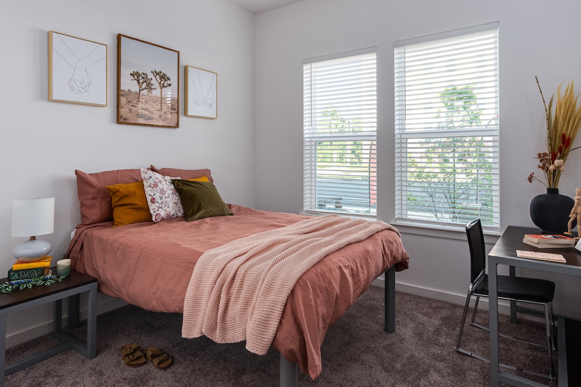  The Petty  -  Anthem House  - Gallery -  3