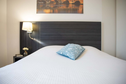 Studio supérieur meublé de 21m² à Toulouse