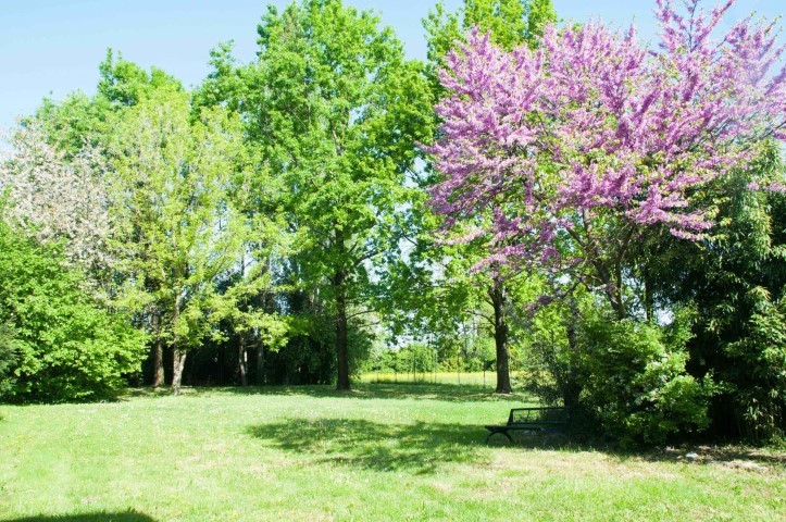 Via Emilia 279 - Stanza 22