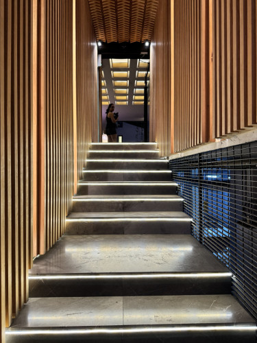 Coyoacán Residence - Gallery - 12