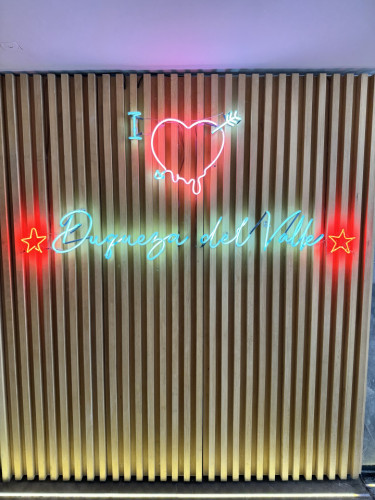 Luxurious Penthouse Coliving with Stunning City Views in Del Valle Centro