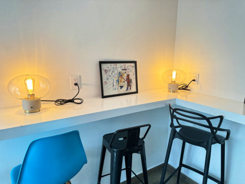 Coyoacán Residence - Gallery - 51